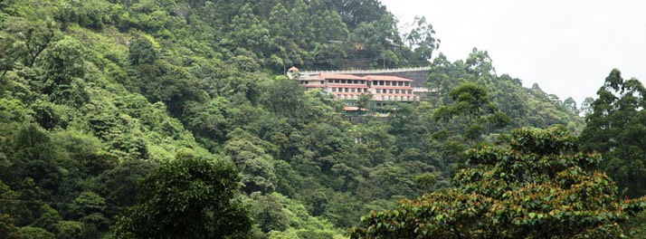 Abad Copper Castle - Munnar 01.jpg